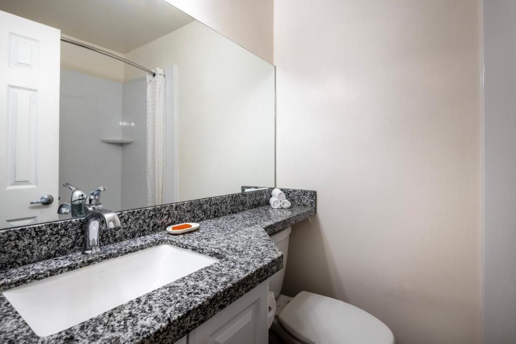 Lavabo Sifonu Değişimi ve Temizliği